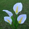 LED Calla Lily Flower Stake Light Solar Energy Rechargeable for Outdoor Garden Patio