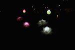 Lotus Flower Shape Lawn Lamps 3 LED Lighting Waterproof Solar Lamp