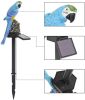 Parrot Decor Garden Solar Light